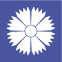 Ավիաընկերություն Belavia